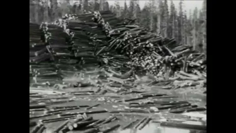 Trees are cut down, sent down log flumes, and end up in lumber yards in 1937. Stock Footage 99409449
