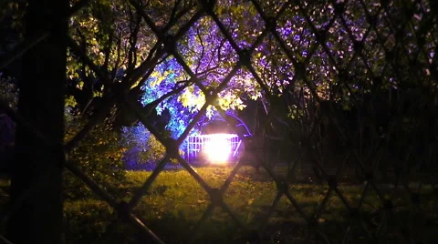 The trees are in motion under a stunning night light trough the bars Stock Footage 68175388