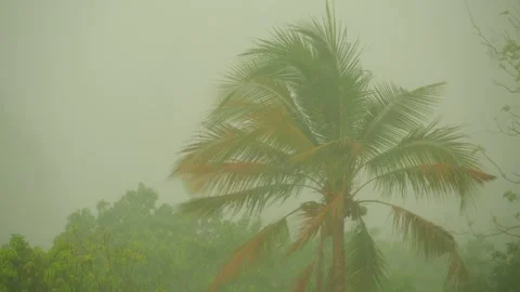 Trees are moving fast while rainstorm  in countryside village, Chiangmai provinc Stock Footage 274623459