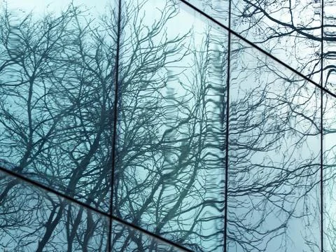 Trees are reflected in the glass facade of a modern building Stock Photos