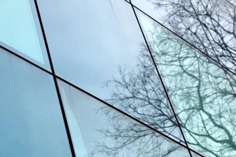 Trees are reflected in the glass facade of a modern building Stock Photos