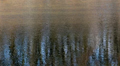 Trees are reflected in the lake Stock Photos