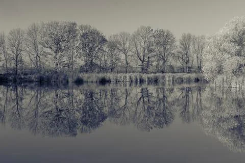 Trees are reflected in the lake Stock Photos