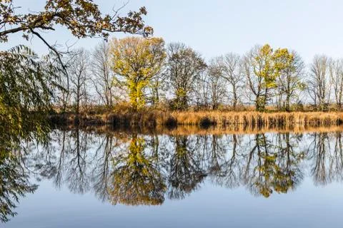 Trees are reflected in the lake Stock Photos