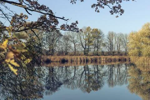 Trees are reflected in the lake Stock Photos