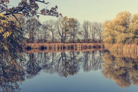 Trees are reflected in the lake Stock Photos