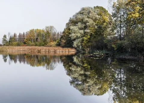 Trees are reflected in the lake Stock Photos