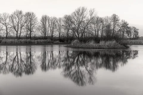 Trees are reflected in the lake Stock Photos