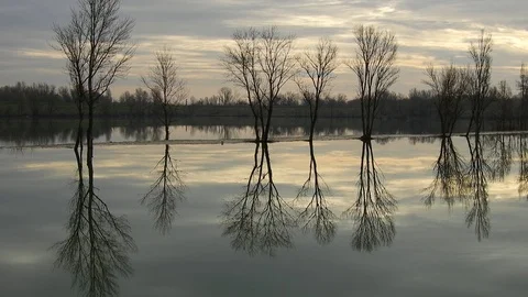 Trees are reflected in the water in winter 4K- Italian Nature Stock Footage 94792217