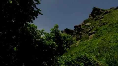 Trees around a stone cliff Stock Footage 68860194