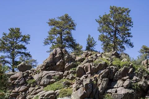 Trees atop boulder hill 写真素材