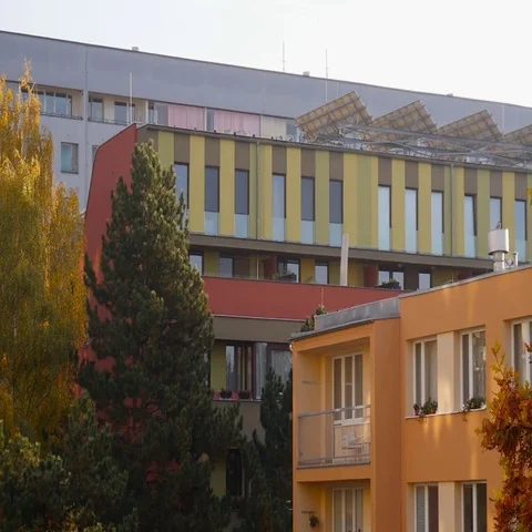 Trees In Autumn - Buildings in Background Stock Footage 69446793