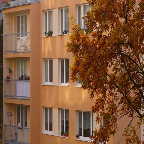 Trees In Autumn - Buildings in Background Stock Footage 69446909