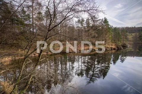 Trees in autumn colours reflecting in Tarn Hows, Lake District Stock Photos