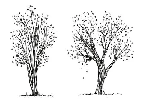 Trees autumn hand drawing vector. The foliage is falling. Sketch Stock Illustration