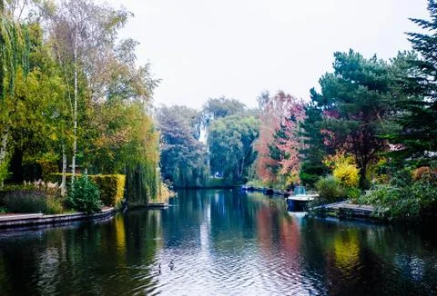Trees in Autumn lined on two sides of a canal showing reflection over the wat Stock Photos