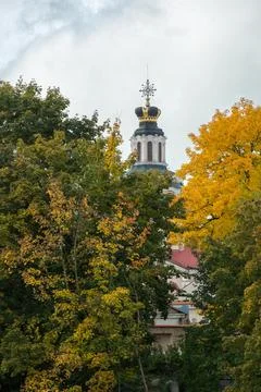 Trees in autumn Stock Photos