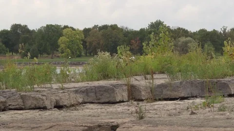Trees in autumn with rocks Video stock 81456549
