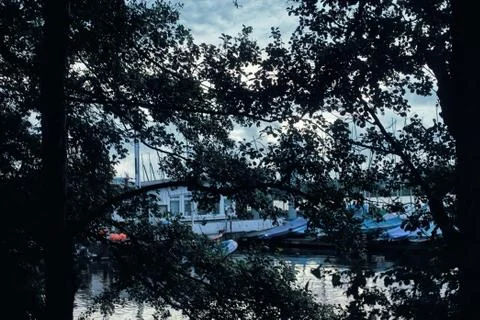 Trees background Application point hamburg alster sport rowing sailing city Stock-Fotos