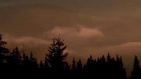 Trees on a background of clouds fast Stock Footage 70363564