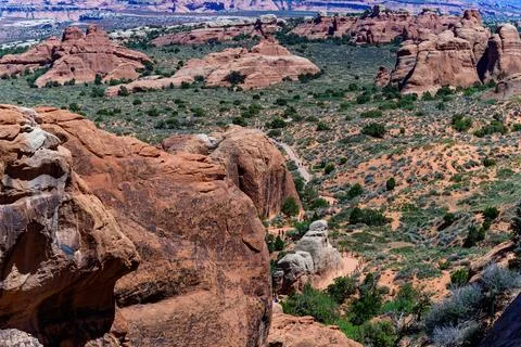 Trees in the background of an Eroded landscape, Arches National Park, Moab,.. Stock Photos