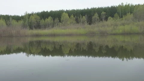 Trees on the background of the lake in cloudy weather. Nature background. Stock Footage 194232563