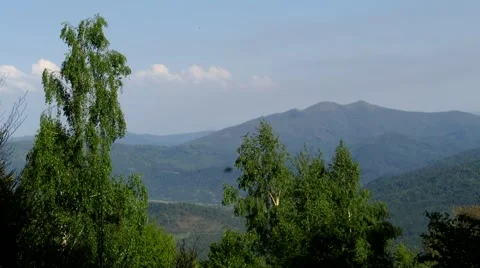 Trees on a background of mountains Gostra Stock Footage 68807452