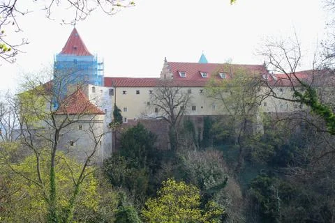 Trees on the background of the old castle. Stock Photos