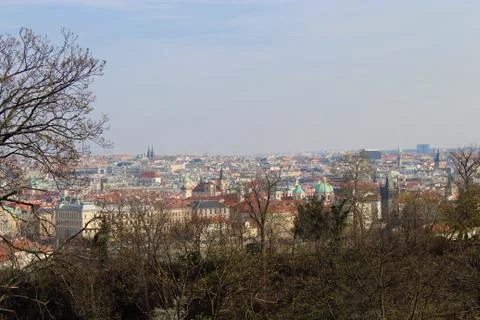 Trees on the background of Prague in the spring. Stock Photos