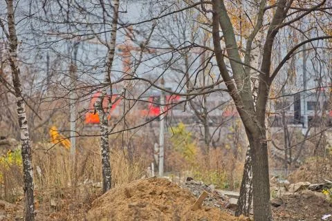 Trees on the background of a train at a construction site Stock Photos