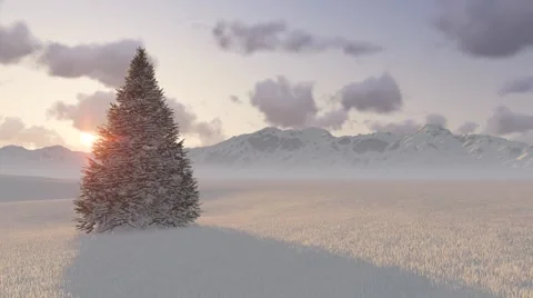 Trees on the background of trees and mountains Stock Footage 57708609