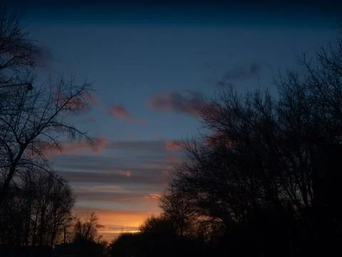 Trees on a background of a winter sunset Stock Photos