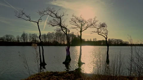 Trees bare of leaves, immersed in the lake waters light of the sunset Stock Footage 197496078