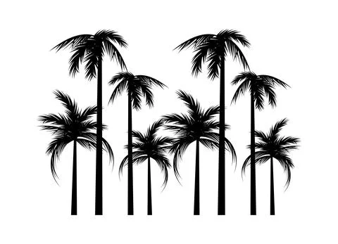 Trees beach palms silhouettes Illustrazione stock