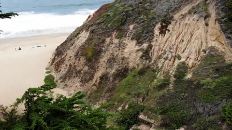 Trees Beach with Waves and House in Slow Motion with Aerial Tilt Up View Stock Footage 142319504