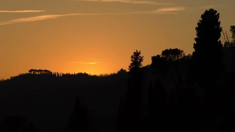 Trees at Beautiful Sunset Video stock 85569844