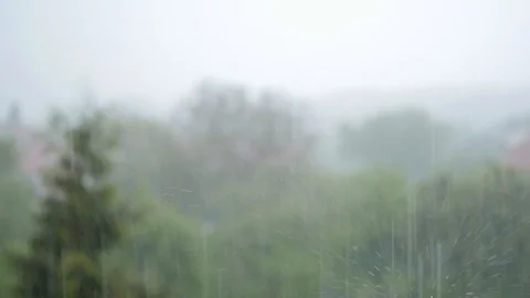 Trees behind heavy rain, downpour, wall of rain Stock Footage 90096512