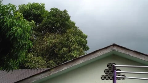 The trees behind the house that was blowing in the wind due to the rain. Stock Footage 152706479