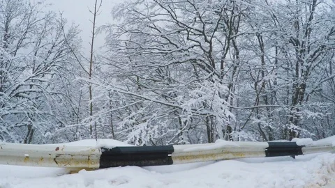 Trees behind a roadside covered in snow after a snowfall Stock-Footage 124611621