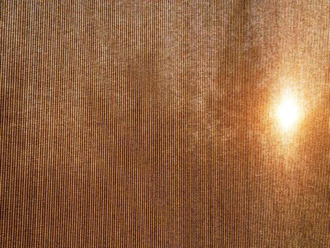 Trees behind screen mesh for unique design effect beautiful golden background Stock Photos