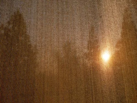Trees behind screen mesh for unique design effect beautiful golden background Stock Photos