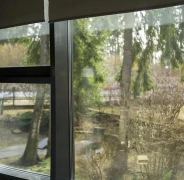 Trees behind a window 写真素材