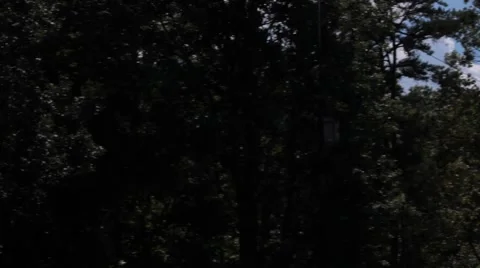 Trees being trimmed by a helicopter Stock Footage 41456039