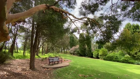 Trees bench empty Video stock 143648070