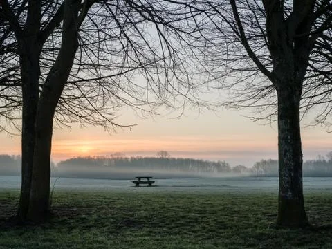 Trees bench table silhouette dawn Foto stock