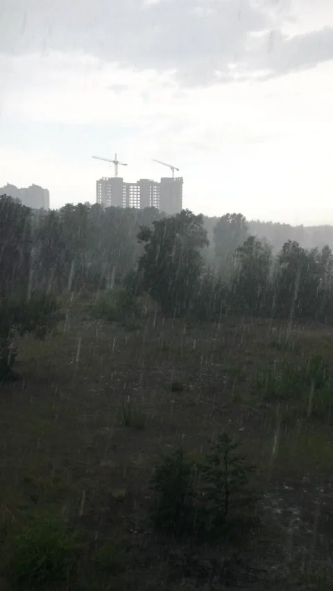 Trees bend due to rain and wind in seaside resort town Stock Footage 314501311