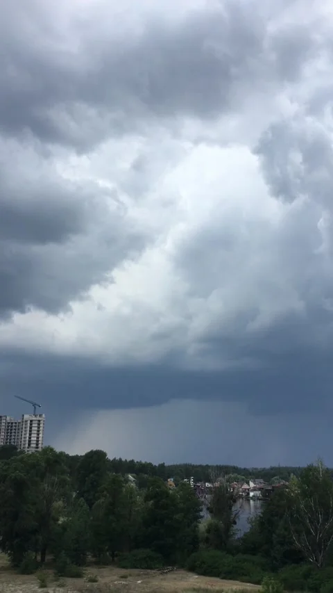 Trees bend due to rain and wind in seaside resort town Stock Footage 314501511