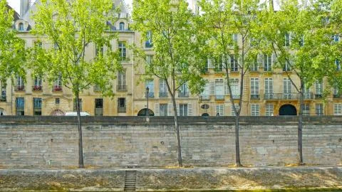 Trees beside the river in Paris Stock Photos
