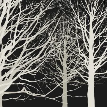 Trees on black background Stock Illustration