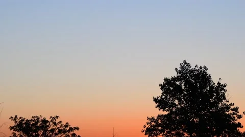 Trees blowing with beautiful sky at sunset Stock Footage 67867428